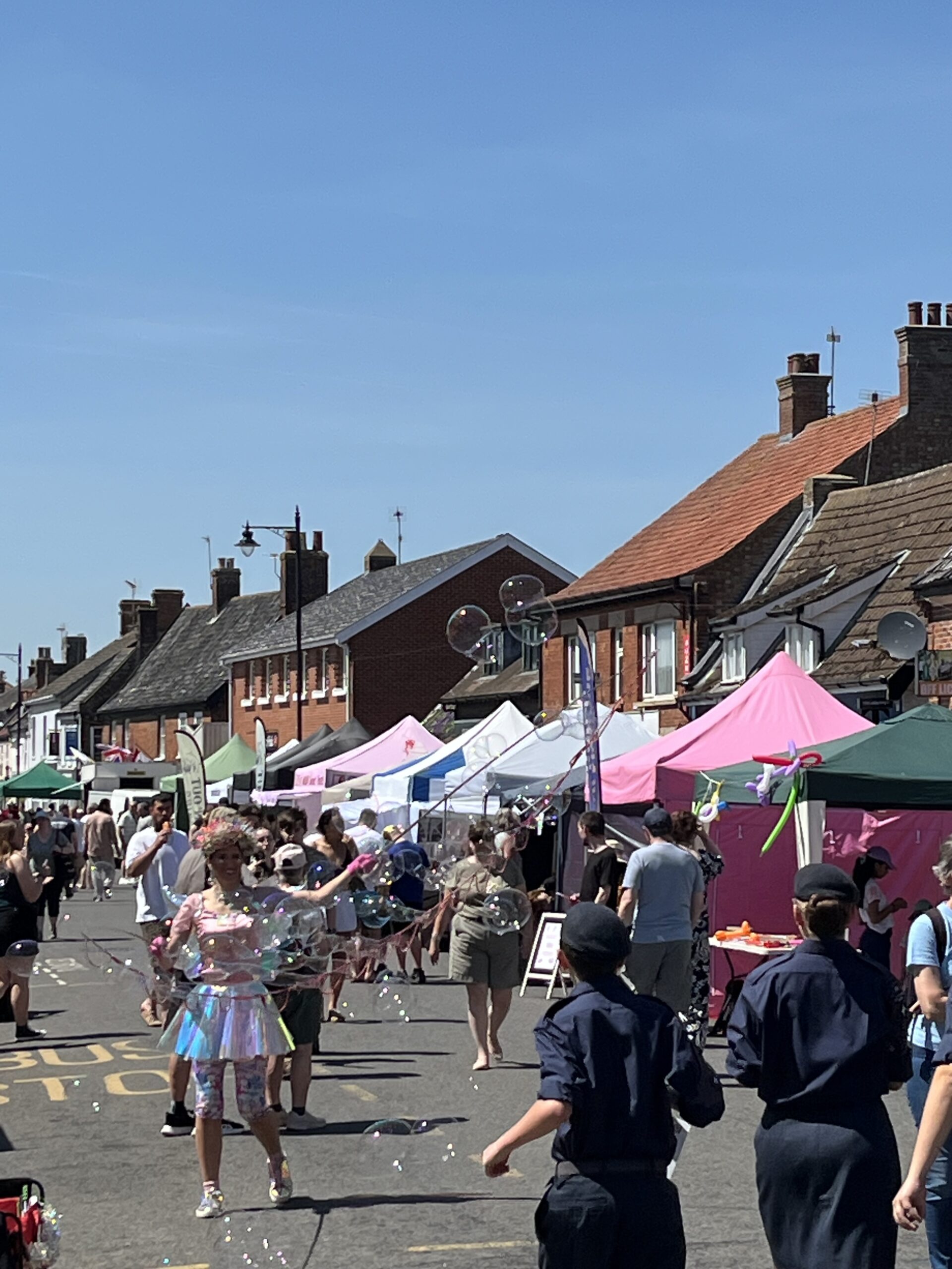 Summer Carnival DJ hire in Norfolk, photo 3